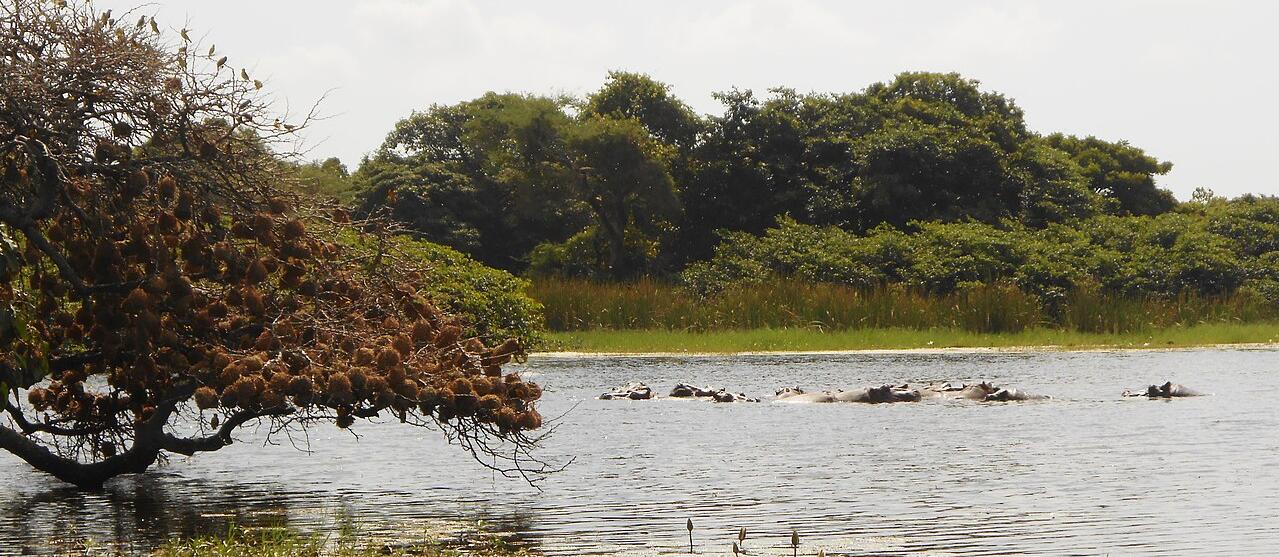 Lagoa Orango