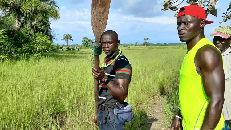 Tarbadju di bulañas