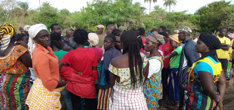 Istoria di purmeru kovertidos na ilia di Uno